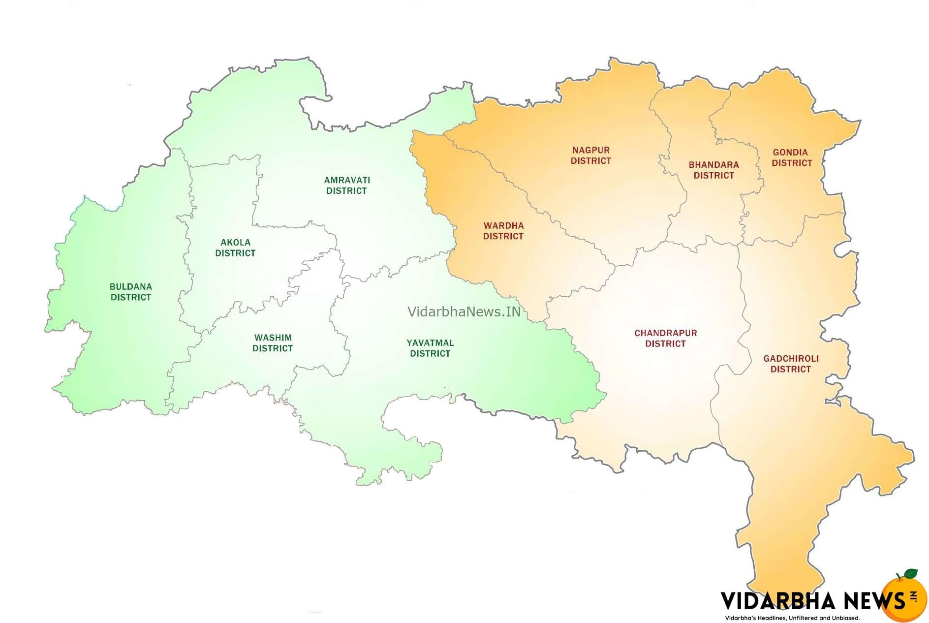 About Vidarbha News